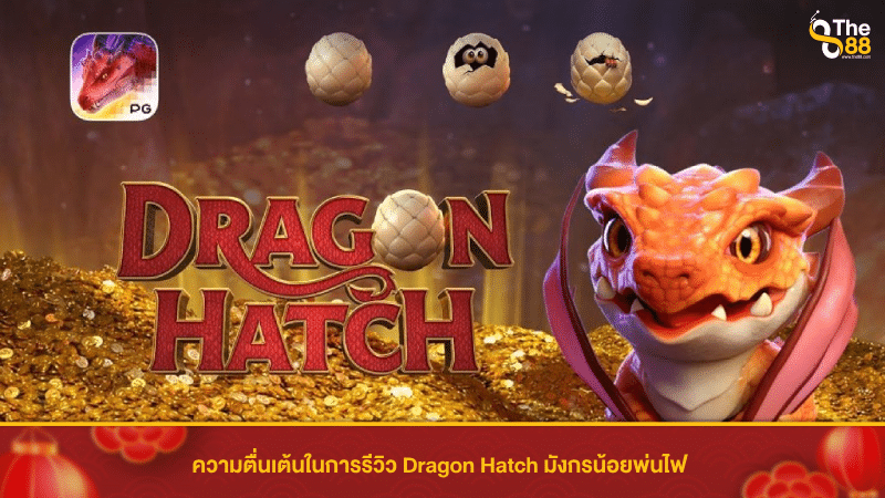 ความตื่นเต้นในการรีวิว Dragon Hatch มังกรน้อยพ่นไฟ